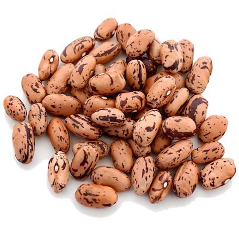 قیمت خرید لوبیا چیتی تر + فروش ویژه